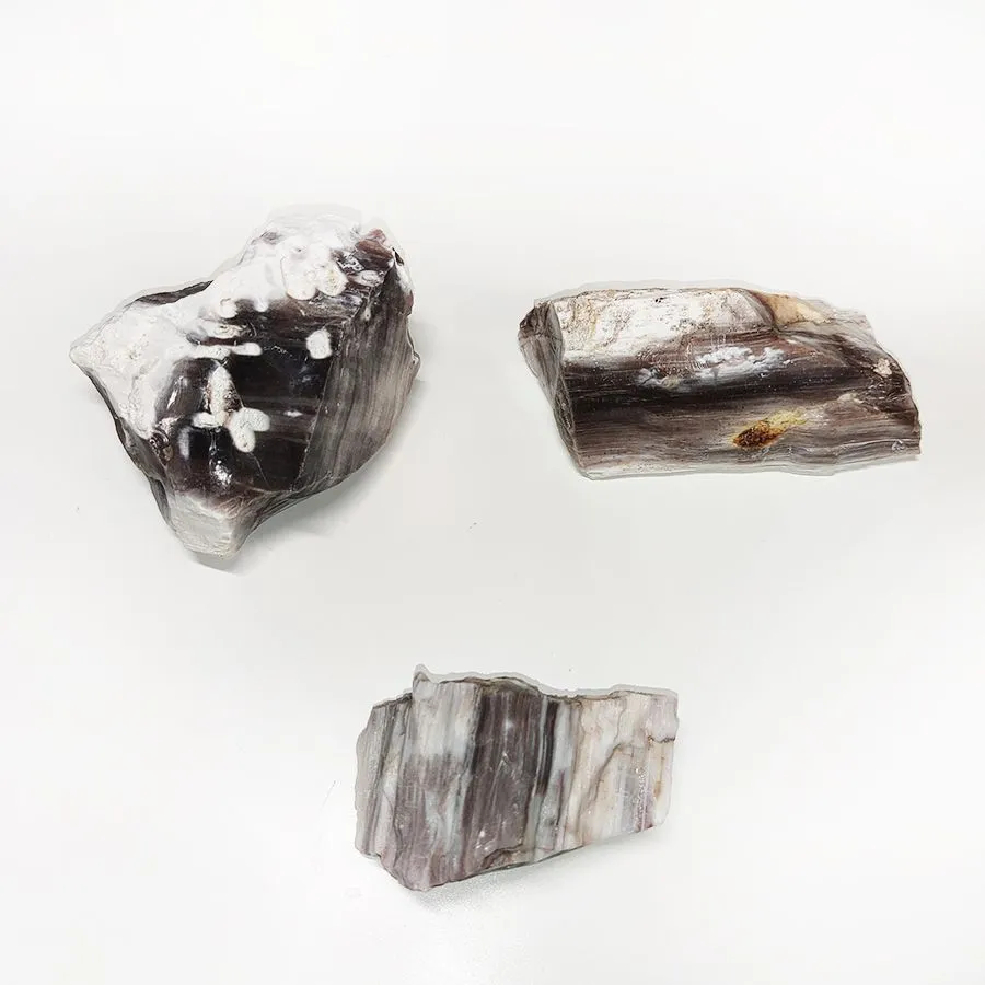 Окаменелое дерево