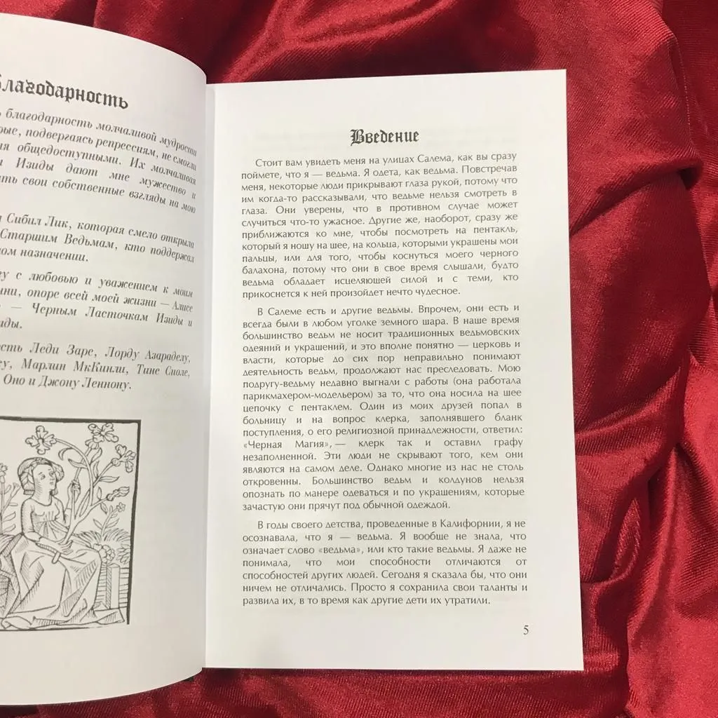 Книга "Сила ведьм", Лори Кэбот