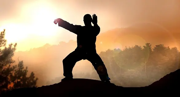 Цигун для долголетия и оздоровления организма