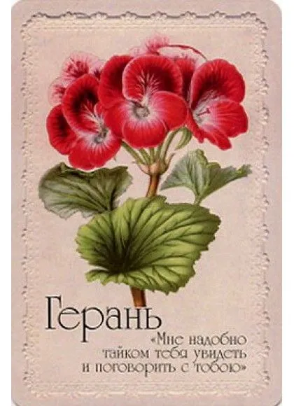 Оракул "Селам или Язык Цветов"