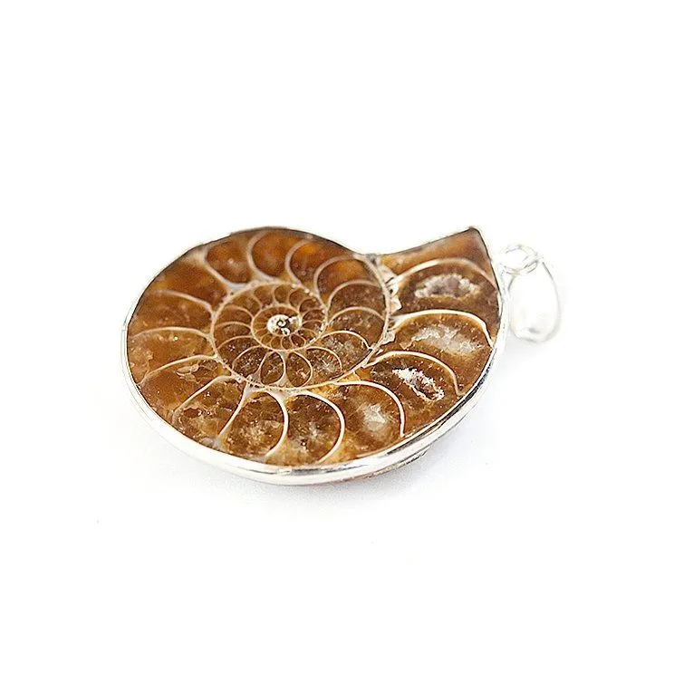 Кулон "Аммонит", в оправе с цепочкой