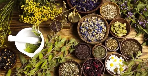 Магические растения, травы и коренья