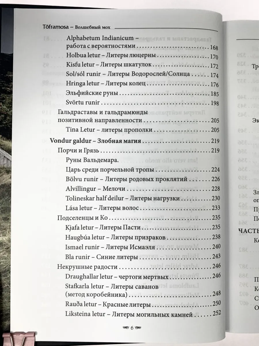 Лири Каввира, Бродяжка Рыжая "Töframosa - Волшебный мох. Все про исландскую магию"