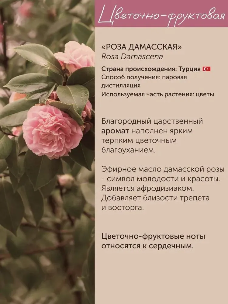 Набор эфирных масел (пачули, иланг-иланг, сандаловое дерево, роза дамасская), 35 мл