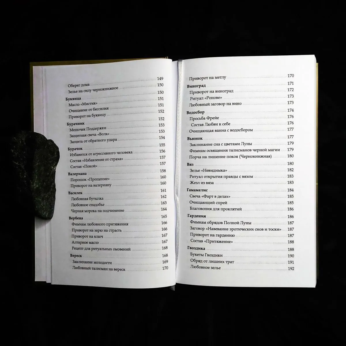 Ася Заботина "Арсенал ведьминых трав"