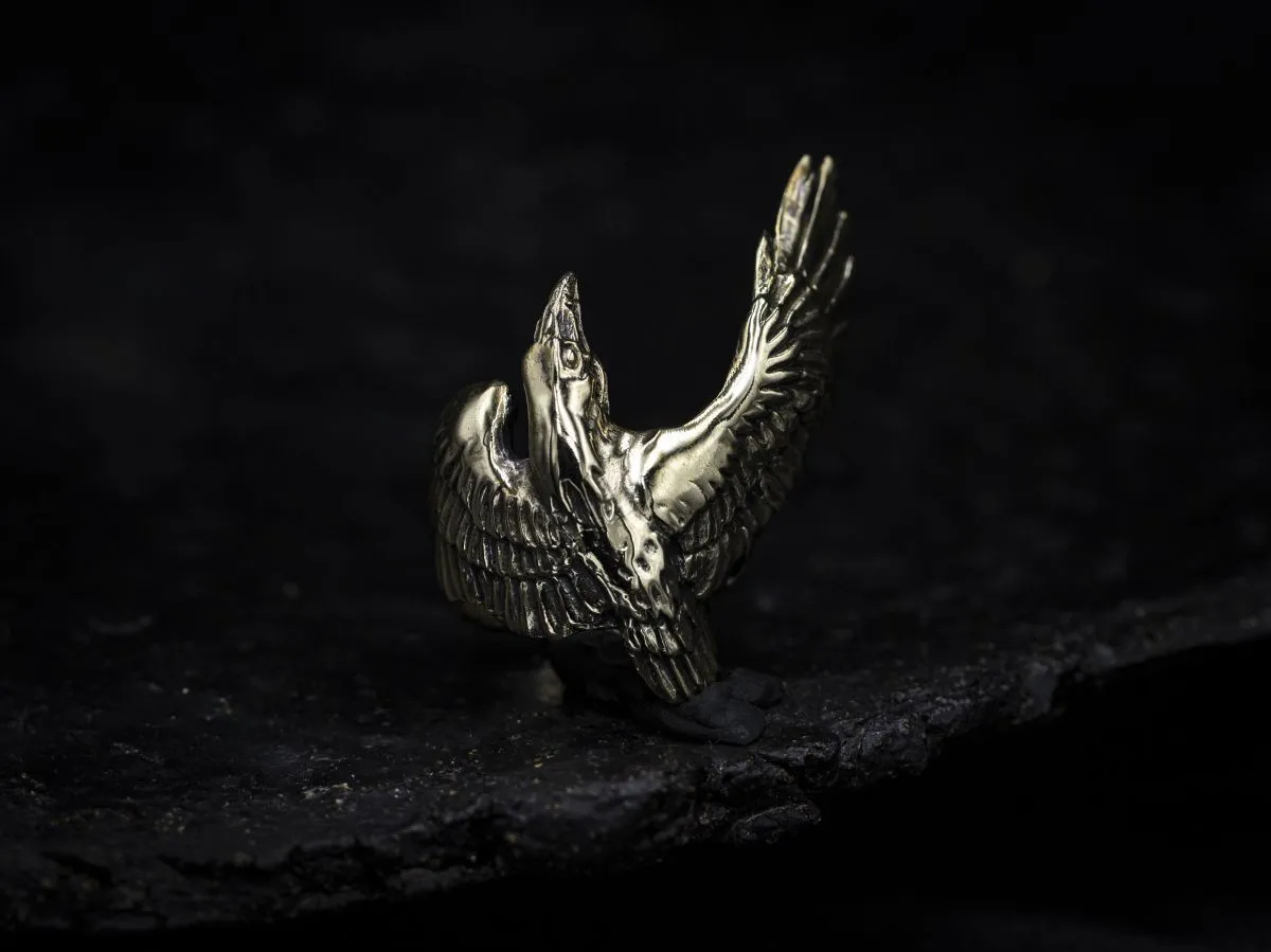 Кольцо "Корвус-защитник" из бронзы