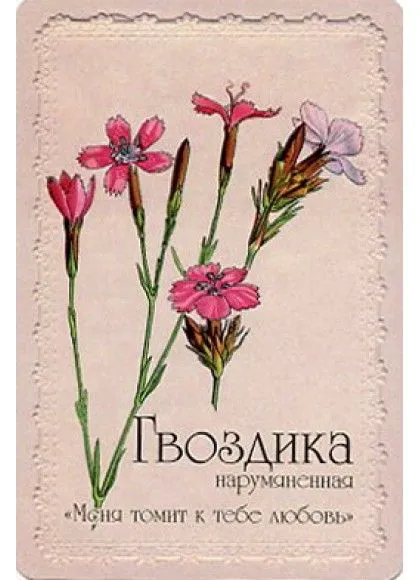 Оракул "Селам или Язык Цветов"