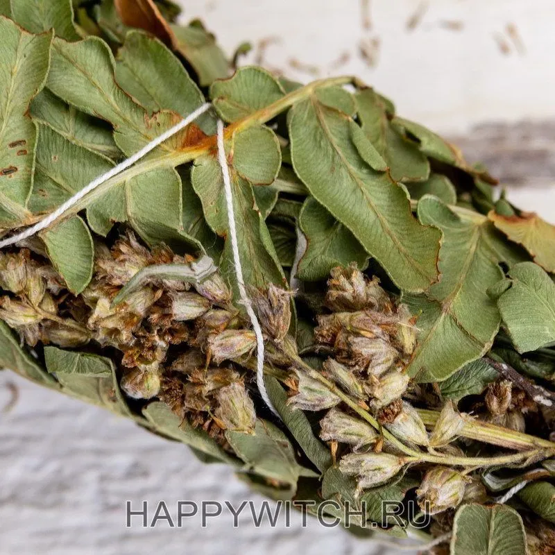 Пучки папоротника с полынью для окуривания