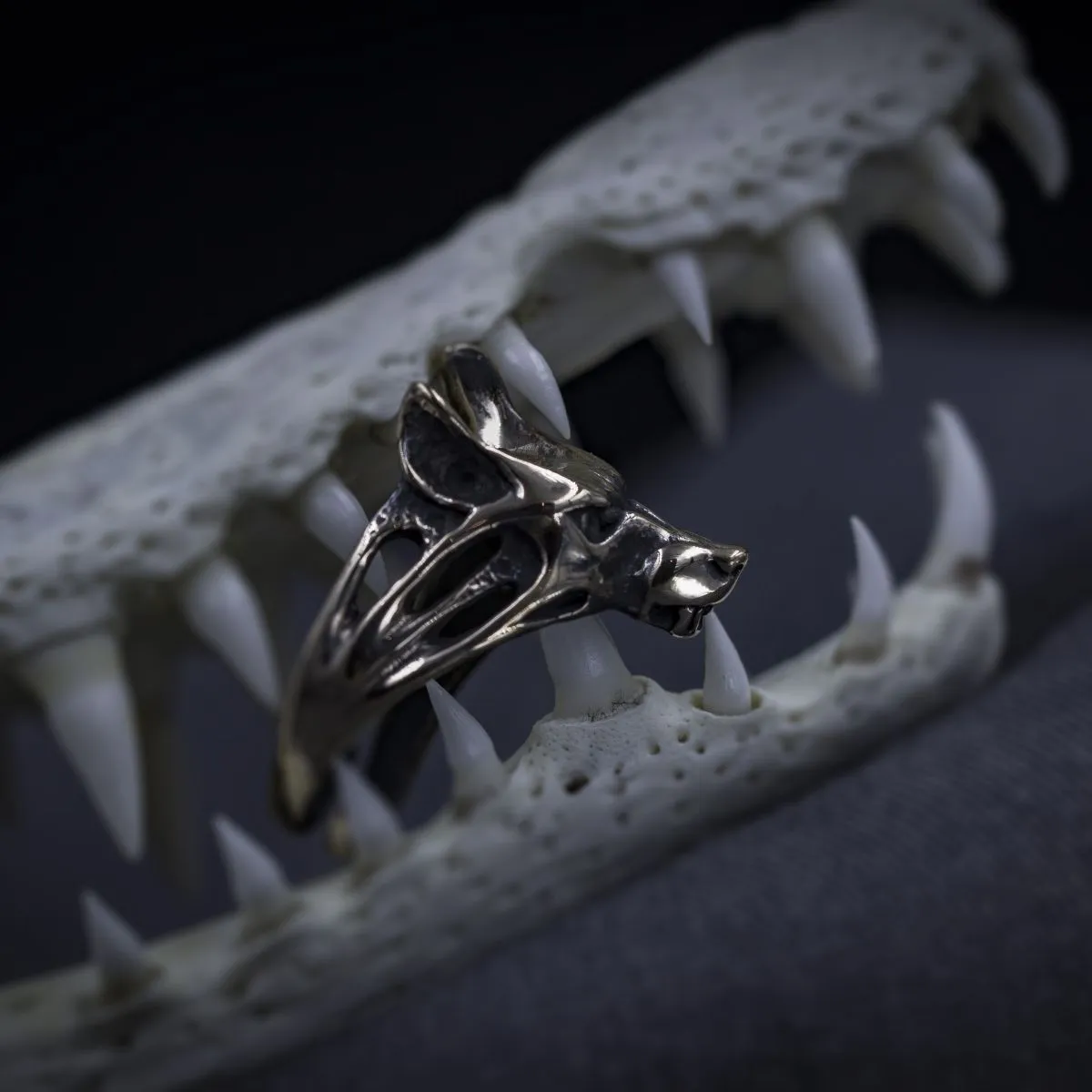 Бронзовое кольцо "Волчица"