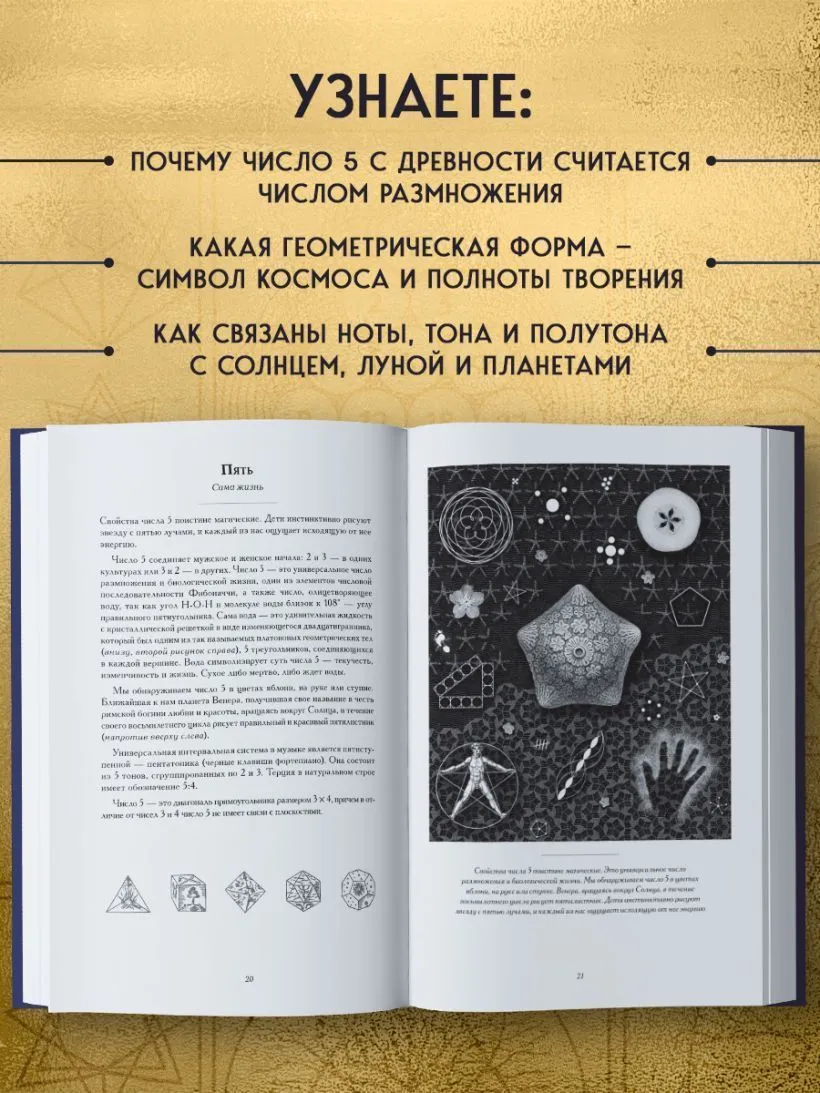 Сакральные знаки, числа, символы, Джон Мартино, Миранда Ланди, Джейсон Мартино