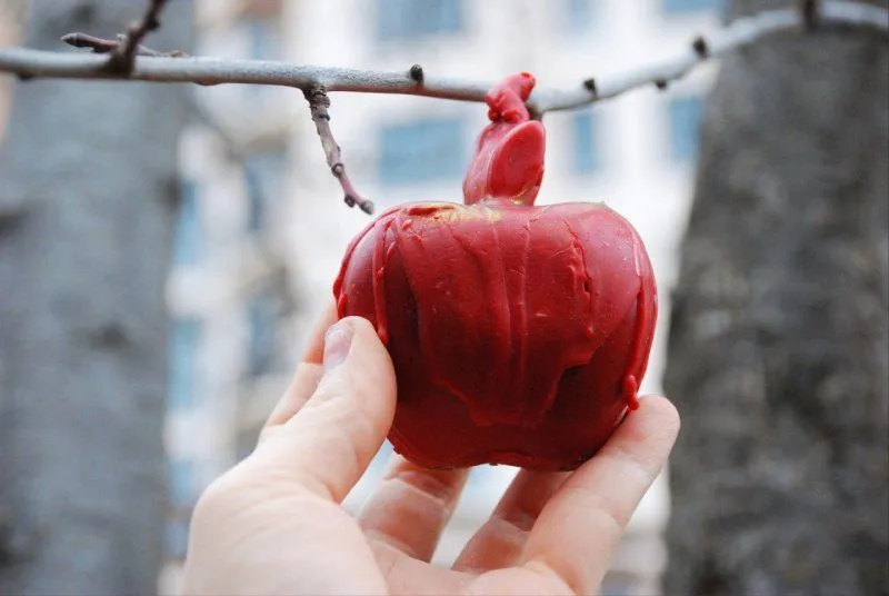 Cвеча "Яблоко искушения"