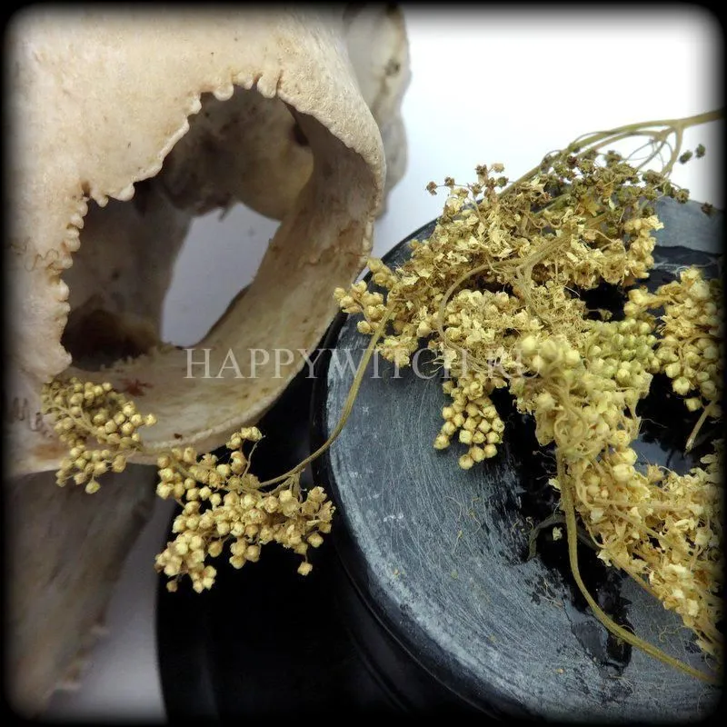 Таволга (пакет 35 гр)