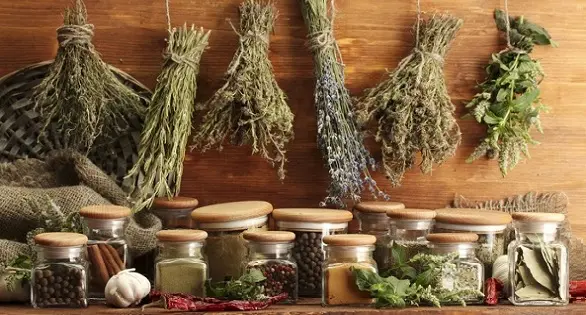 Сушеные лекарственные травы: самые полезные и эффективные
