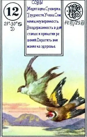 «Совы» (семерка бубен)