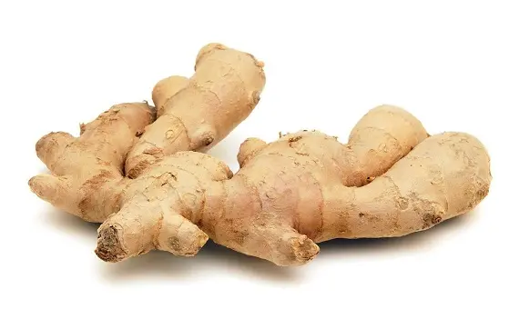 Корень имбиря