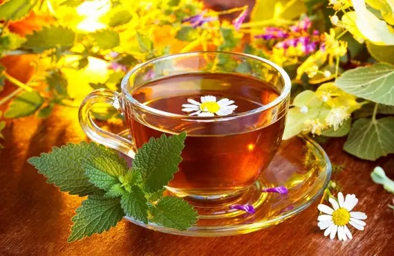 Как избавиться от апатии_с помощью трав