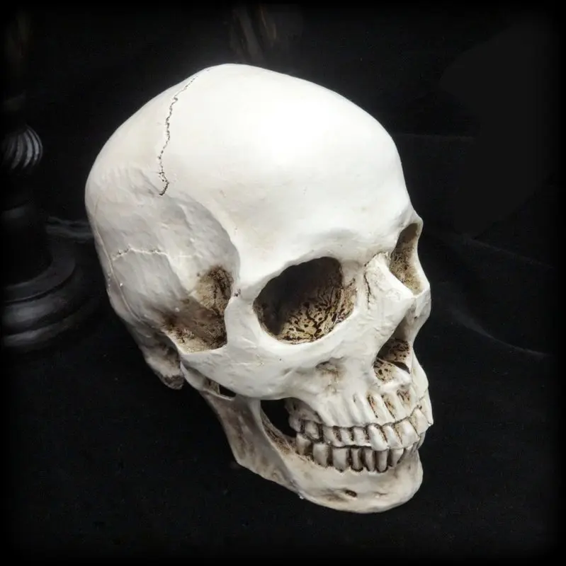 Магические черепа1