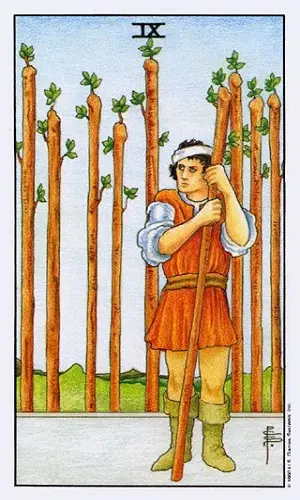 Карта Таро 9 Жезлов Карта Таро 9 Жезлов