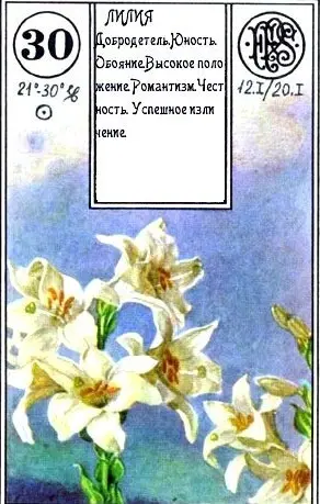 «Лилии» (король пик)