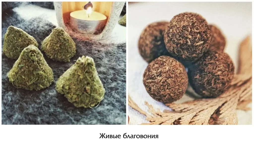 живые благовония.jpg