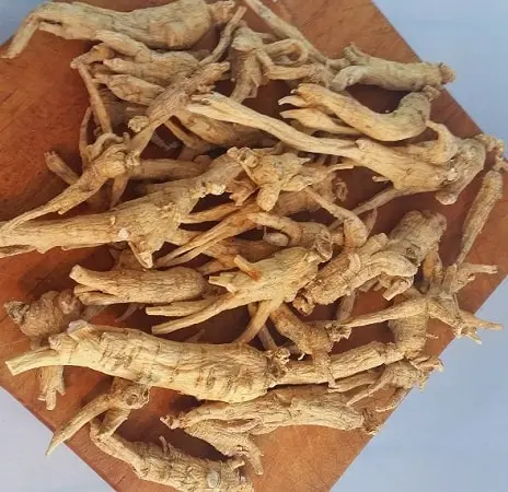 Корень женьшеня