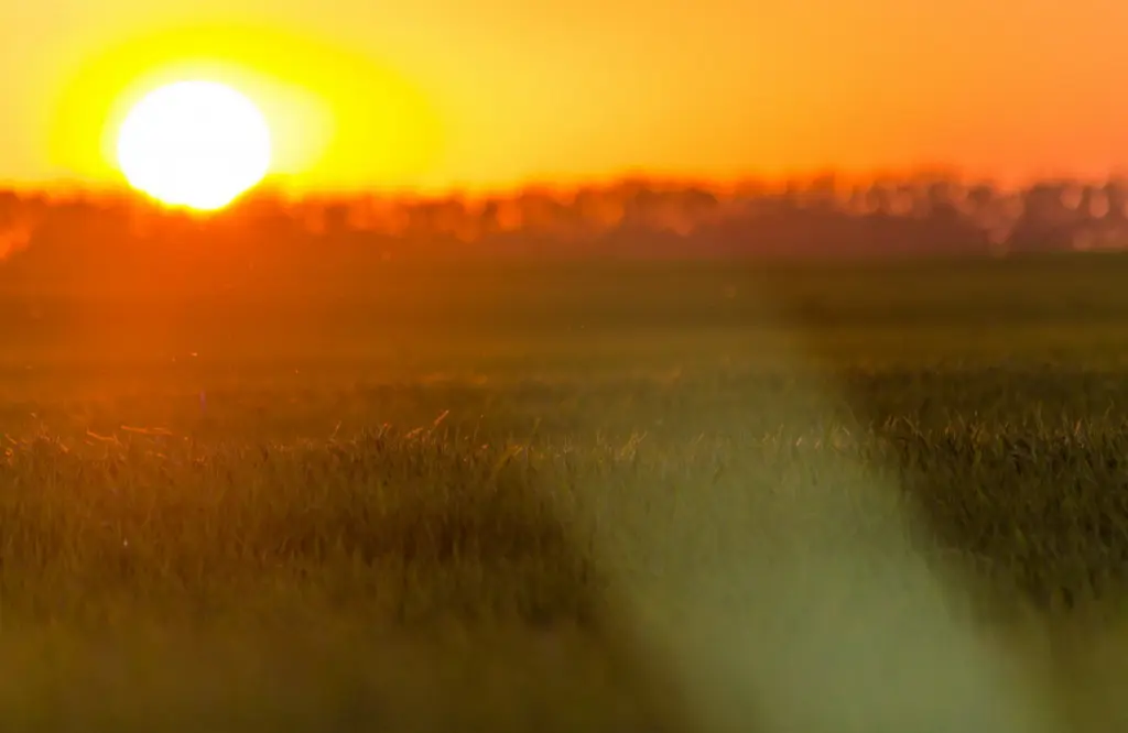 Заговор от ангины