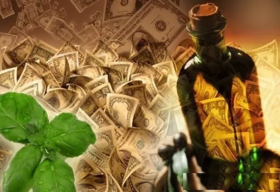 Аромамасла для привлечения денег