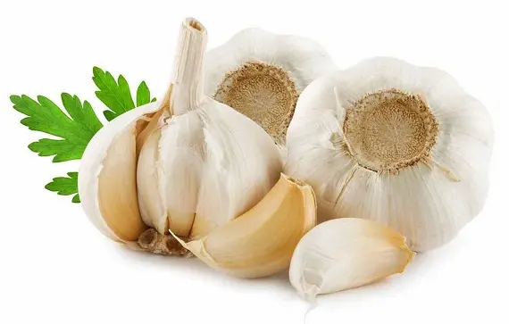 Магические растения_Чеснок