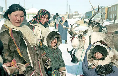 Обряд почитания оленя