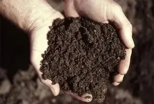 Силы природы