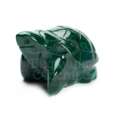 Малахитовая черепаха