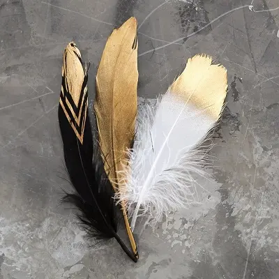 Черное перо птицы_ритуалы