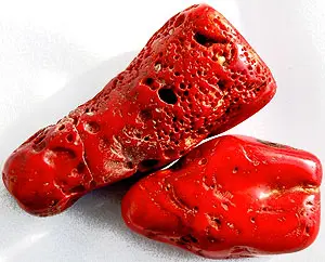 Природный камень Коралл