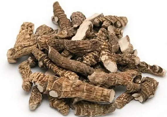 Корень аира обыкновенного