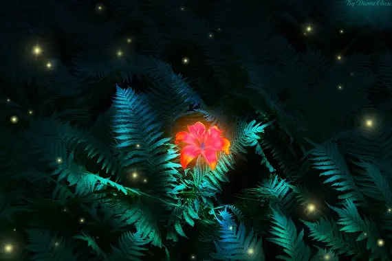 Праздник Лита_легенда цветок2_праздник Лита.jpg