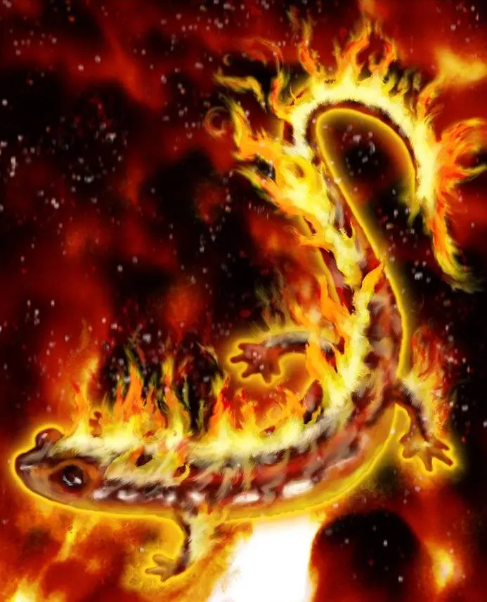 Саламандра