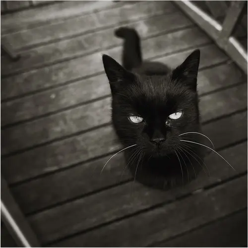 4e9ef0c20aac.jpg 4e9ef0c20aac.jpg