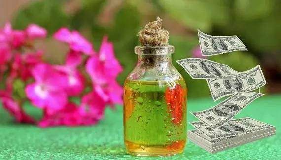 Аромамасла для привлечения денег