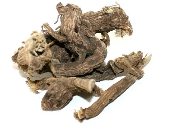 Корень алтея лекарственного