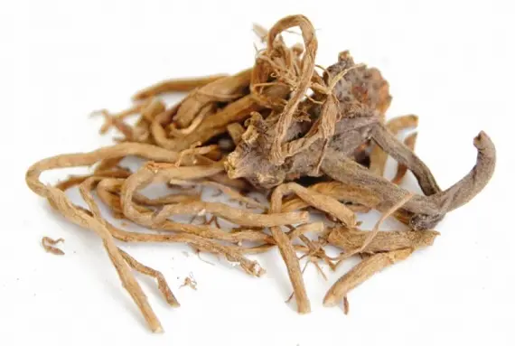 Корень валерианы лекарственной