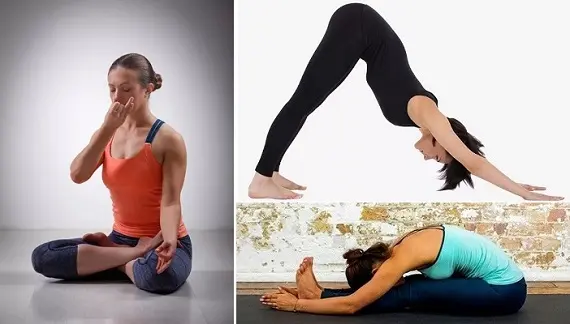 Йога для открытия чакр_комплекс асан 