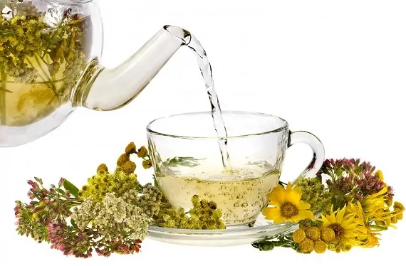 Как избавиться от апатии_с помощью трав