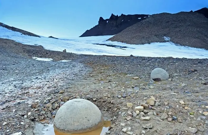 Остров Чамп в Архангельской области