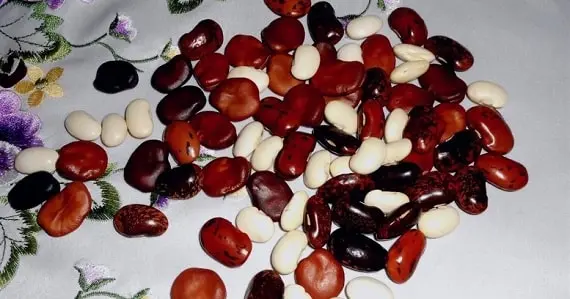 Гадания славянских древних язычников на бобах