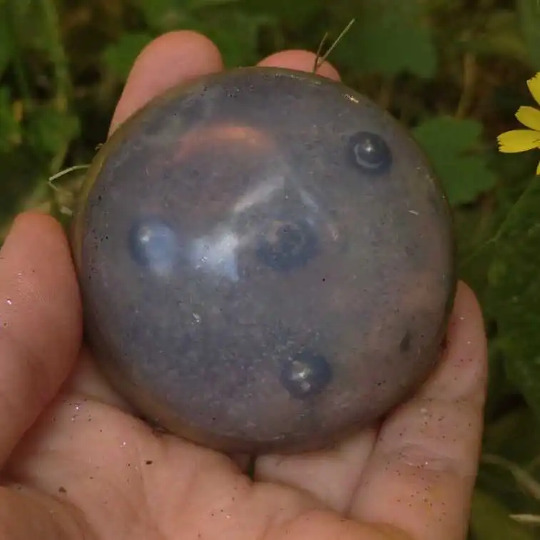 мыло Зарница.jpeg