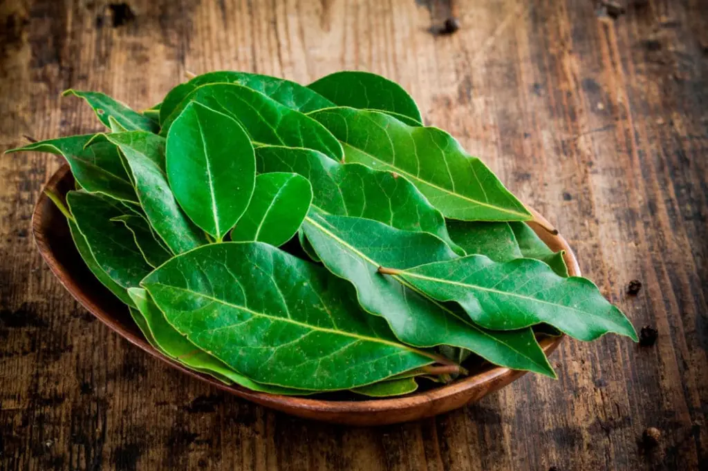 Лист мяты или лавровый