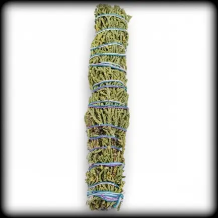 Можжевельник